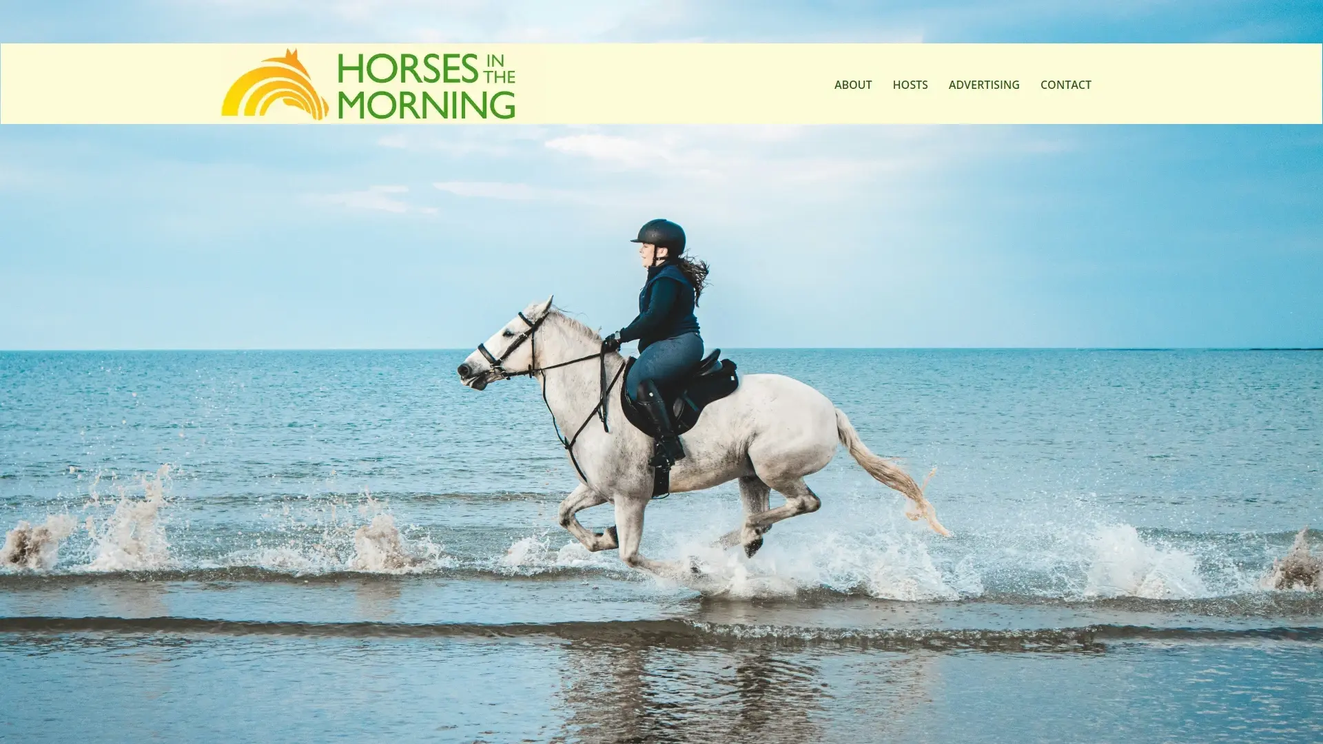 Ongoing Maintenance, Security & Optimisation