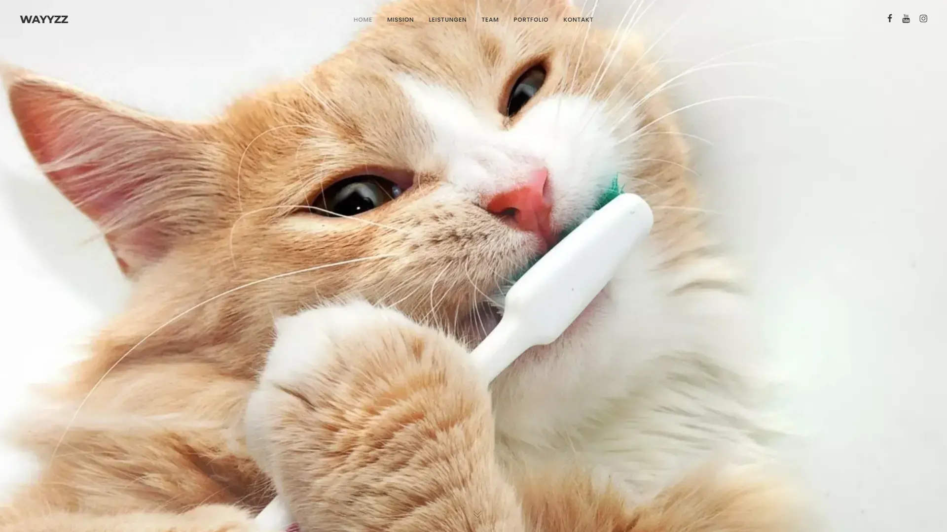 Performance Optimisation & Server Maintenance